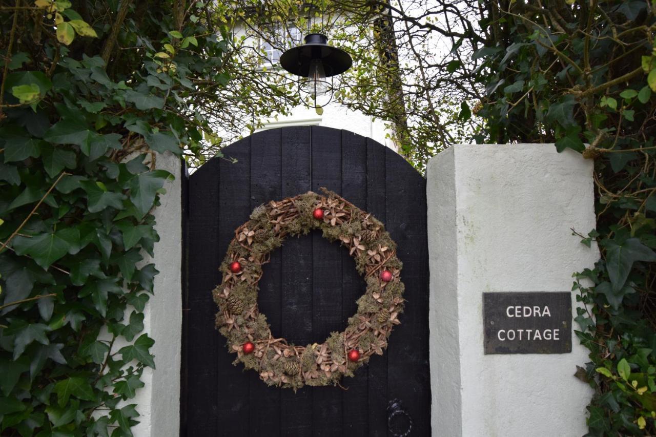 Cedra Cottage - Vintage Country Hideaway Axminster Exteriér fotografie