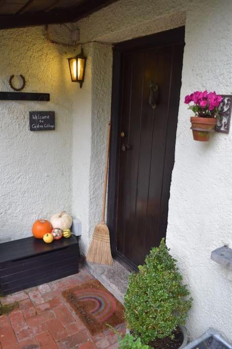 Cedra Cottage - Vintage Country Hideaway Axminster Exteriér fotografie