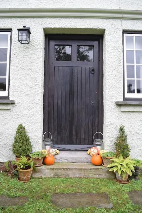 Cedra Cottage - Vintage Country Hideaway Axminster Exteriér fotografie