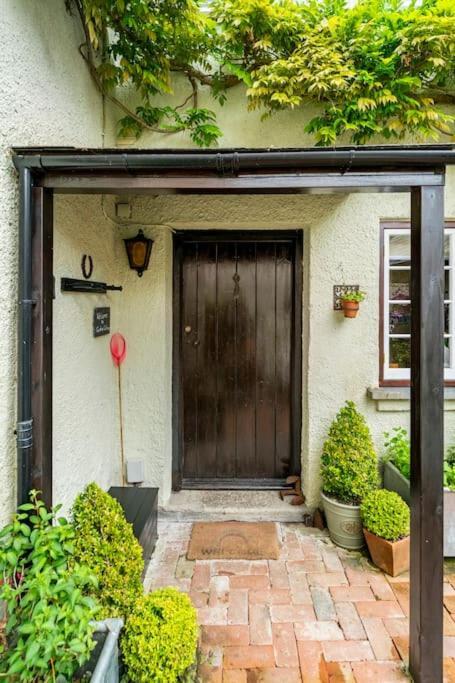 Cedra Cottage - Vintage Country Hideaway Axminster Exteriér fotografie